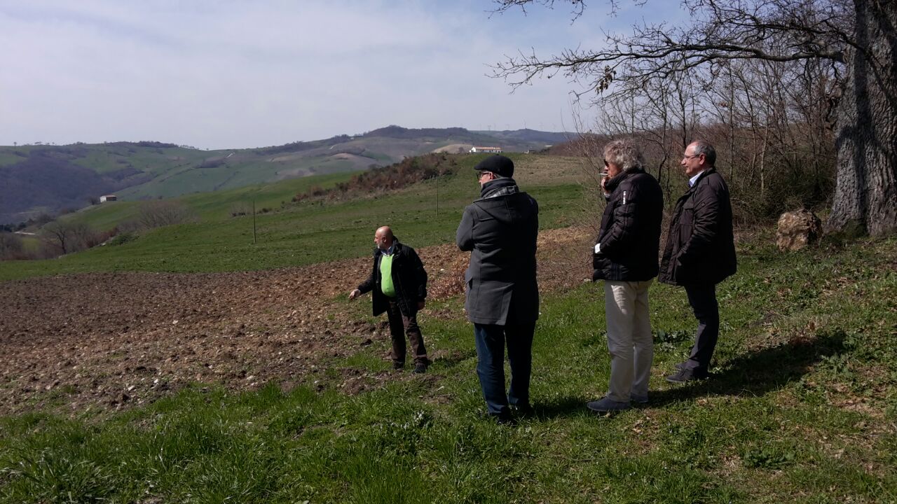 IMG-20150321-WA0004