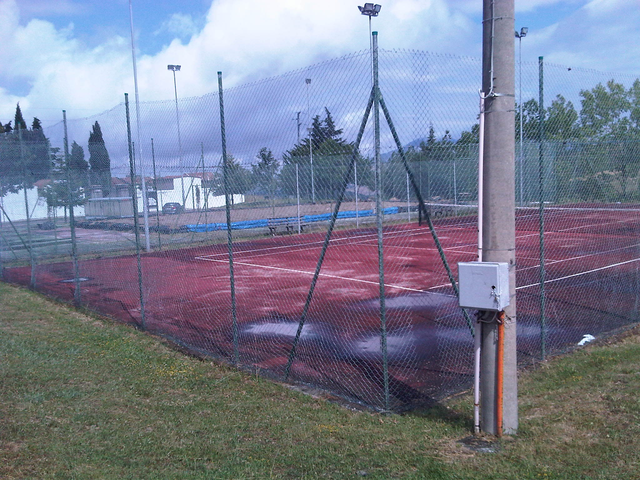 IMG00785-20130629-1541
