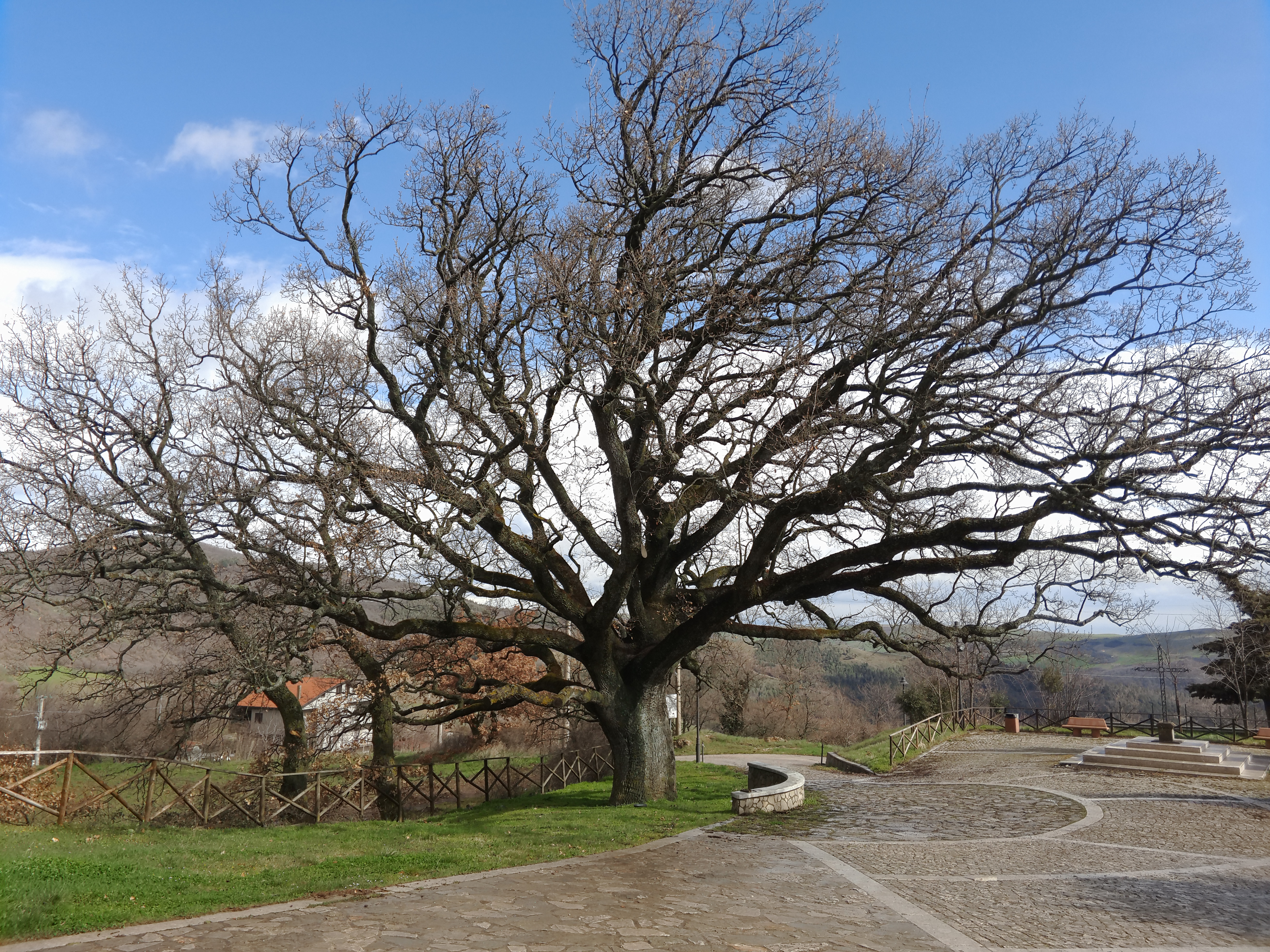 P50325-0953071
