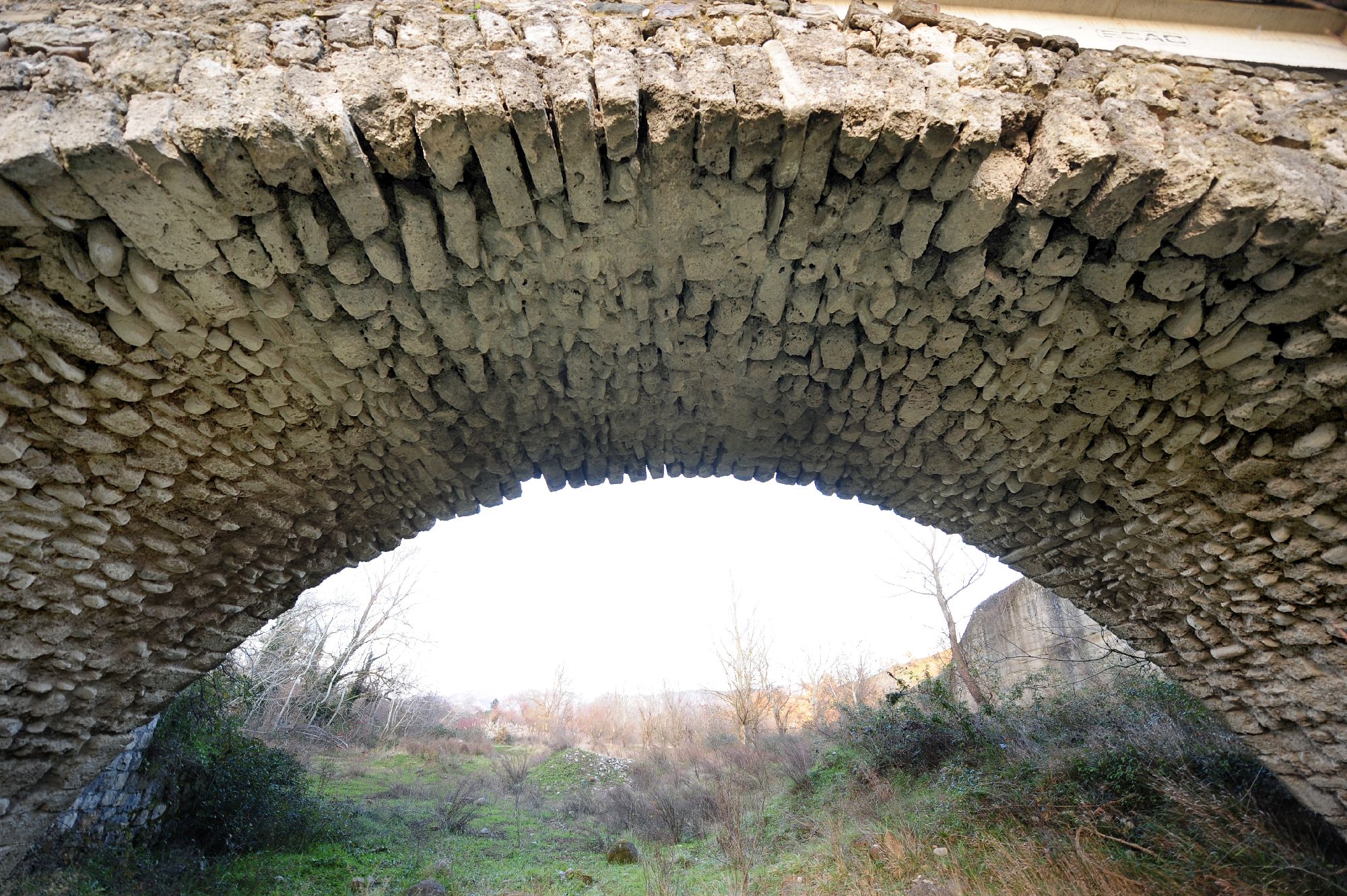 ponte1