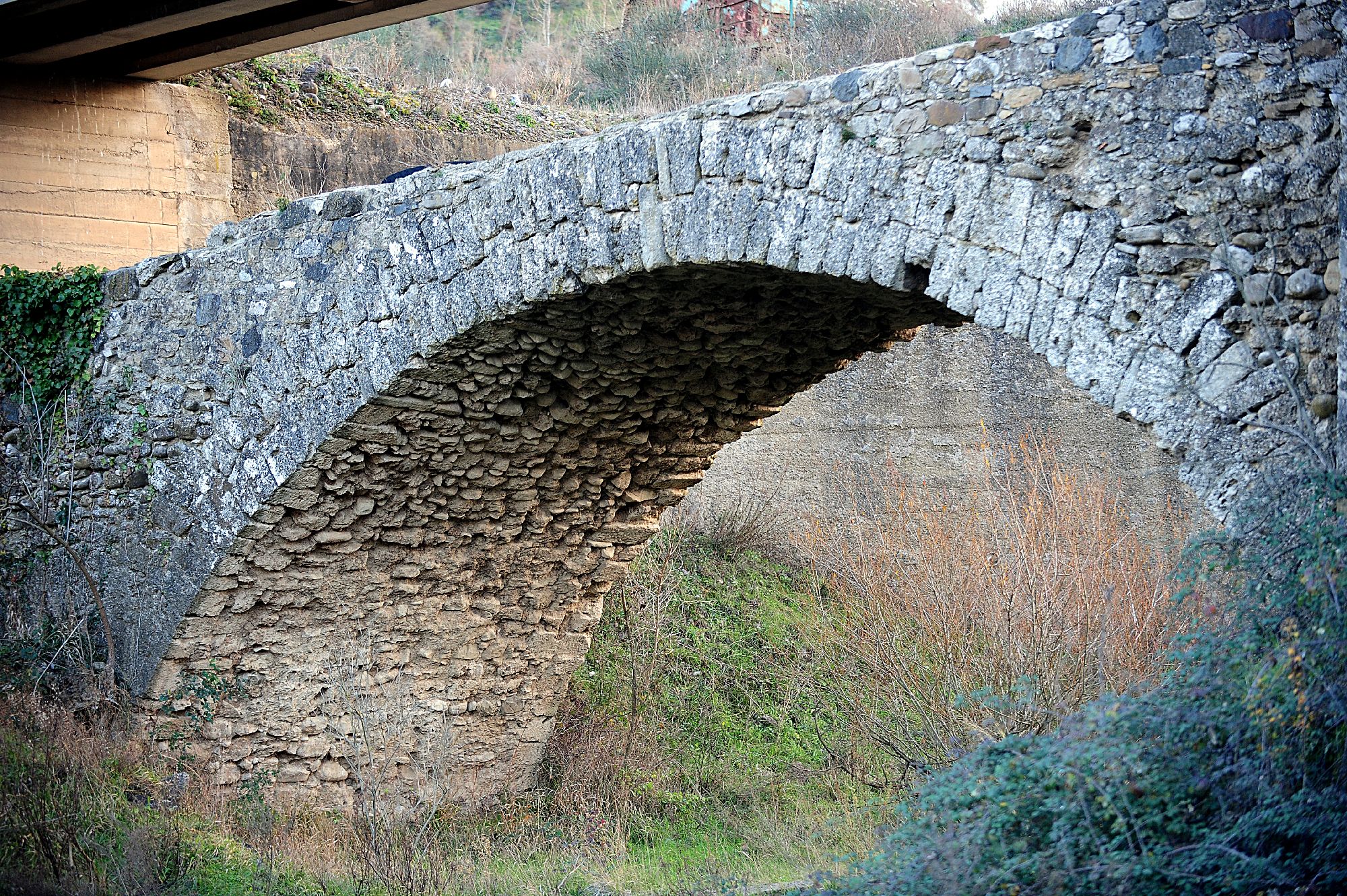 ponte3