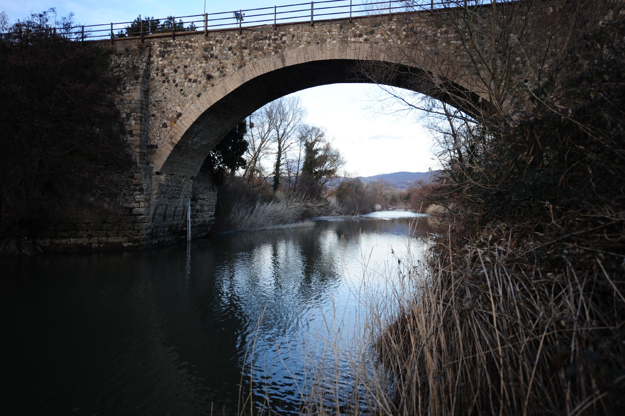 ponte4